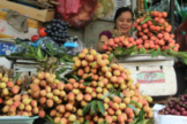 Nông nghiệp Việt Nam tăng trưởng cao nhất trong 7 năm