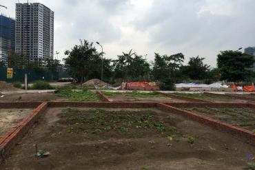 Đất nền Bình Chiểu  giá tốt hiện nay mà bạn nên biết