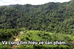 ✨PHẢI NHANH MỚI KỊP ✨ Đất lâm nghiệp làm khu sinh thái Lâm Đồng 72ha 45 tỷ có đàm phán