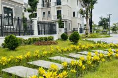 Biệt thự  Centa Villas - đẳng cấp Singapore Từ Sơn Bắc Ninh, nơi đáng sống bậc nhất