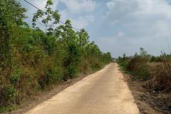 Vừa Phân Lô đất Nền 200m2 Cực đẹp Tại Binh Phước, Giá Rẻ - Sẵn Sổ