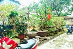 ???? BÁN ĐẤT TẶNG NHÀ C4 — MẶT TIỀN ĐƯỜNG NGUYỄN HUỆ, VĨNH NINH, TP HUẾ ????