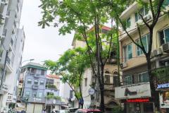 Bán nhà mặt phố Phan Kế Bính, Kd nhà hàng Nhật, vị trí đẹp, vỉa hè rộng, 80m chỉ 33 tỷ