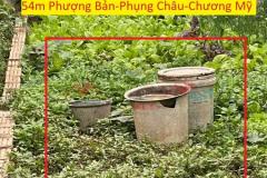 CHÍNH CHỦ BÁN LÔ ĐẤT 54M TẠI PHỤNG CHÂU-CHƯƠNG MỸ-HÀ NỘI