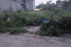 Cần tìm chủ mới, 88m2, mt5m, Nguyên Khê, Đông Anh, 5.25 tỷ, ô tô.
