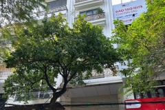 Bán nhà mặt phố Phố Huế, 140m2, 10 tầng 2 hầm, mặt tiền 7.2m, 159 tỷ, vỉa hè rộng, KD