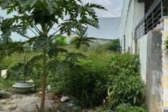 BÁN ĐẤT FULL THỔ CƯ, VĨNH THẠNH, NHA TRANG - GẦN TRỤC ĐƯỜNG D30 – GIÁ CHỈ 16,9 TRIỆU/M²