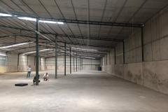 Kho Xưởng cho thuê 1000/2000m2 An Phú Đông Quận 12
