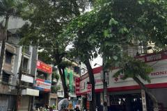 Bán nhà phố Đỗ Quang, hiếm, ô tô tránh, vỉa hè KD, nhỉnh 19 tỷ
