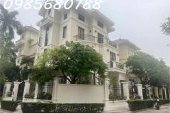 BÁN BIỆT THỰ CIPUTRA 230M2 ĐƯỜNG 30M VỈA HÈ ĐÁ BÓNG GIÁ 62 TỶ