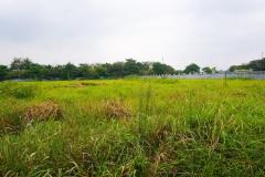 Bán 3500m2 đất cụm công nghiệp Ninh Hiệp, Gia Lâm, Hà Nội. Lô 2 mặt tiền