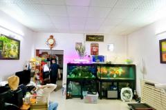 BÁN NHÀ HXH Dương Văn Dương, Tân Quý – 60m² – SHR – Chỉ 6TỶ!