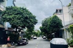 MT KHU BÀN CỜ HỌ LÊ - SẴN DÒNG TIỀN - 4 TẦNG - 96M NGANG 6.2 NỞ HẬU NHỈNH 8