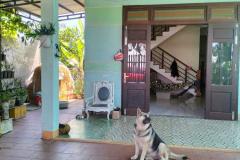♪ Nhà Sân Vườn, đường Ô tô có Lề, TX Điện Bàn, 200m2, cách Biển 4 phút, nhỉnh 2 tỷ