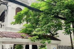 ⚜️ Biệt thự Mặt phố Nguyễn Khang, Cầu Giấy, 155m2 3T MT 9m, Giá chỉ 33.5 Tỷ ⚜️