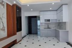Tư Đình Long Biên - Thang máy - Gara ô tô - Kinh doanh bất chấp - 8.8 t.ỷ
