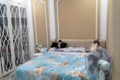 38 Khúc Thừa Dụ, chung cư mini vị trí vàng, 2 ban công