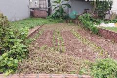 Chủ cần bán 84m2, mt4.5m, ô tô thông, Phúc Thịnh, Hà Nội 7 tỷ.