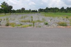 Chỉ từ 1,2 tỷ sở hữu lô đất mặt tiền đường Hồ Văn Huê , Thị Trấn Cần Đước