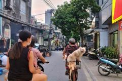 Trâu Quỳ, Gia Lâm, Hà Nội. 61m2, mt 4m, đường rộng, cạnh chợ, sinh viên sầm uất. Lh