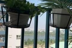 Chính chủ bán căn hộ góc (76m) view Hồ, full nội thất giá 1 tỷ 5xx tại KDT Thanh Hà Cien
