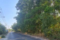 Bán đất thổ cư 3335m2 đường Thanh Niên, Bình Chánh. SHR, giá 43 tỷ. LH: 0908877745