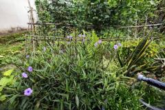 BÁN ĐẤT VĨNH TRUNG – GẦN HỒ – NGÕ NÔNG – GIÁ TỐT! HƠN 3 TỶ