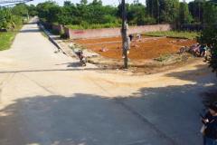 DUY NHẤT 2 LÔ F0 – GIÁ RẺ NHẤT THỊ TRƯỜNG