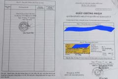 NHÀ + ĐẤT (6.4X24.5) MẶT TIỀN ĐÔNG HƯNG THUẬN 42 CHỢ CÂY SỘP, Q12 KD CỰC ĐỈNH