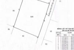 ĐẤT (50x39) MẶT TIỀN XUÂN THỚI THƯỢNG 03 (NAY XÃ BÀ ĐIỂM), HÓC MÔN