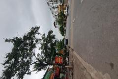 Bán đất Trâu Quỳ – Gia Lâm – Hà Nội 121m2 mặt đường 12m. Lh 0989894845