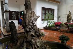 Bán nhà riêng tại đại la thanh lương hai bà trưng hà nội 124 triệu 193m2