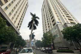 ???? CĂN HỘ CHUNG CƯ NÀNG HƯƠNG 583 NGUYỄN TRÃI, 100M2 3PN + 2VS, CHỈ 8.35 TỶ ????