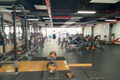 Toà nhà 7 tầng đường chính lý Phục man phường Bình thuận Quận 7. Dt 12x32m