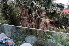 SIÊU HIẾM !!! NHÀ MẶT NGÕ LINH LANG 45M 5 TẦNG MT 3.5M DT KHỦNG GIÁ 21 TỶ 0336212066