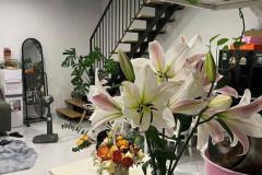 ????: NHÀ ĐẸP MỚI - SÂN Ô TÔ - GẦN CHỢ HÀ ĐÔNG ????. Bán nhà Nguyễn Trãi, Hà Đông.