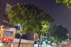 ????NHÀ MẶT PHỐ VIP LÊ TRỌNG TẤN, THANH XUÂN 67M2 5T MT 4.5M, CHỈ 41.5 TỶ ????