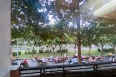 ????NHÀ MT TRƯỜNG SA - P 2 PHÚ NHUẬN - ĐOẠN 2 CHIỀU THOÁNG ĐẸP, VỈA HÈ RỘNG - CHỈ 15.6 TỶ