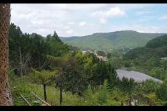 Siêu Phẩm Đất Rộng View Đẹp 14.000m2 Mặt Tiền Mimoza – Giảm Giá Bán Gấp Còn 42 Tỷ